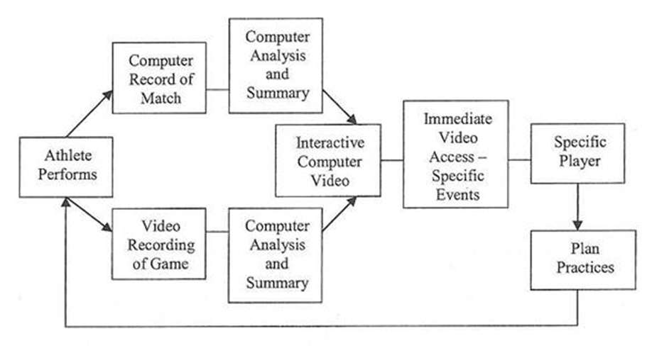 Figure 2: The Coaching Process